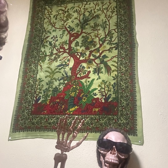 Meet your Posher, Robin & her helper Shelly Tone the skeleton. - Picture 8 of 8